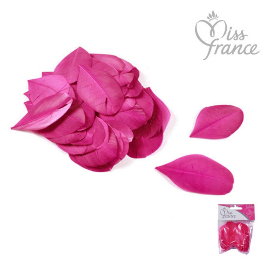 MINI PLUME FUSCHIA H5CM MIF