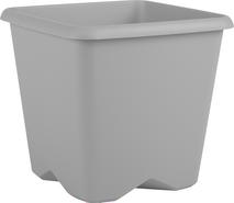 POT CHORUS CARRE 24CM PERCE