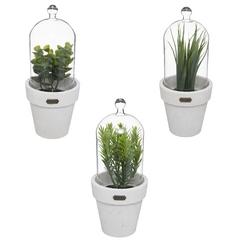 PLANTE POT SOUS CLOCHE H22CM