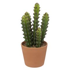 CACTUS POT ALI TERRA H30
