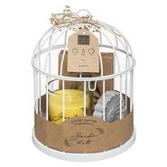 COFFRET CITRONELLE CAGE
