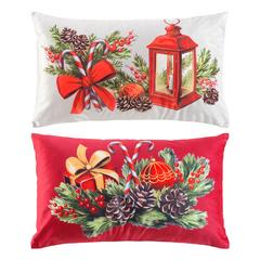 ASST/2 COUSSIN 30X50 COMETE