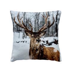 COUSSIN 40X40 ALBIN