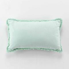COUSSIN 30X50 EVE SAUGE