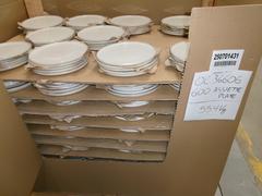 BOX 600 ASST PLATE 554KG