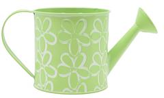 ARROSOIR METAL VERT 27X13X13CM